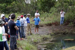 Propriedade rural beneficiada pelo Produtor de Água no Pipiripau - Foto: Raylton Alves / Banco de Imagens ANA