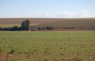 Dia de Campo mostra resultados do Projeto Produtor de Água no Pipiripau