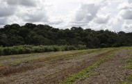 Projeto garante conhecimento da demanda das águas do Pipiripau