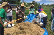 Doadores plantam espécies do cerrado na Bacia do Pipiripau