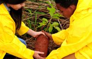 GT de Educação Ambiental realiza a segunda edição do Produtor de Água Mirim