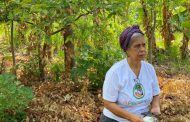 Projeto Produtor de Água completa 10 anos impactando vidas na bacia do Pipiripau